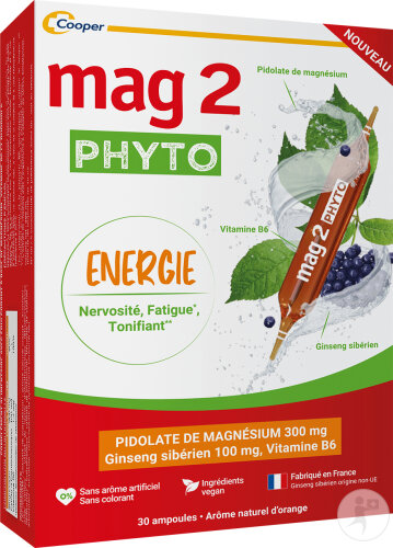 Mag2 Phyto Energie Nahrungsergänzungsmittel Magnesium B6 Ginseng Nervosität Müdigkeit 30 Ampullen