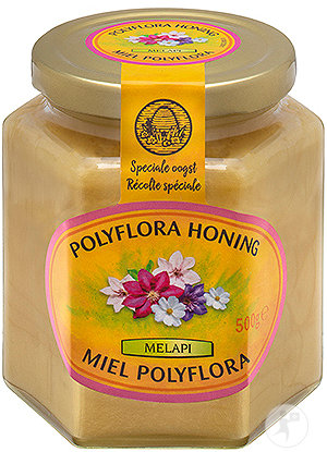 Melapi Polyflora Honig 500g