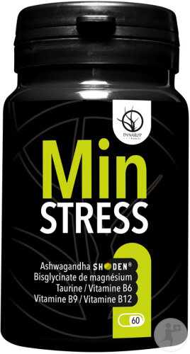 Dynarop Minstress Nahrungsergänzungsmittel 60 Tabletten
