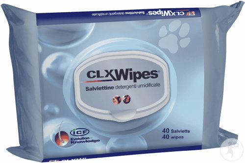 CLX Wipes Feuchttücher 40 Stück