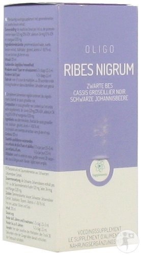 Oligoplant Schwarze Johannisbeere Nahrungsergänzung Flasche 125ml