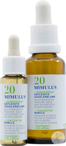Phytomed Bach Tropfen-Konzentrat Nr. 20 Gefleckte Gauklerblume Flakon 10ml