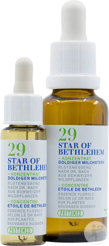 Phytomed Bach Tropfen-Konzentrat Nr. 29 Doldiger Milchstern Flakon 10ml