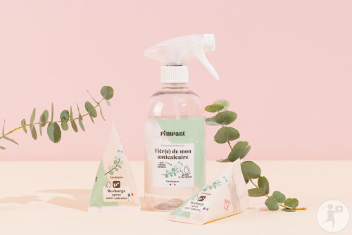 Pimpant Wiederbefüllbare Sprayflasche Anti-Kalk 500ml 1 Stück-3