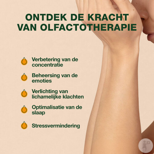 Pranarôm Aromaboost Energy Stimulerende Mist Bio Spray 50ml-5