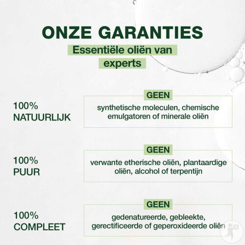 Pranarôm Arznei-Engelwurz Ätherisches Öl 5ml-2