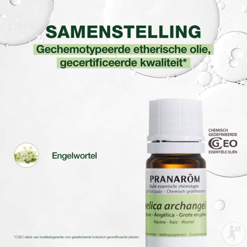 Pranarôm Arznei-Engelwurz Ätherisches Öl 5ml-3