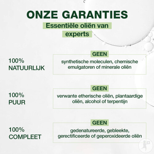 Pranarôm Bio Römische Kamille Ätherisches Öl 5ml-2