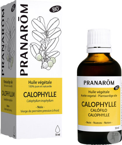 Pranarôm Calophylle Pflanzenöl Bio 50ml