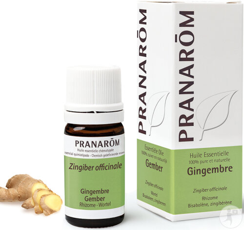 Pranarôm Ingwer Ätherisches Öl 5ml