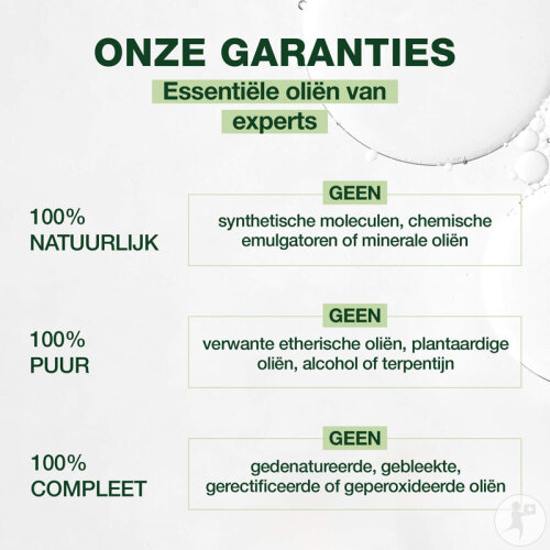 Pranarôm Knoblauch Ätherisches Öl 5ml-2