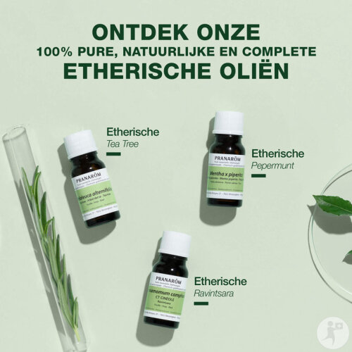 Pranarôm Knoblauch Ätherisches Öl 5ml-5