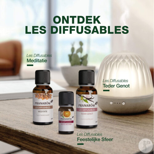 Pranarôm Les Diffusables Tendre Gourmet Vanille Und Zimt Bio Flakon 30ml-5