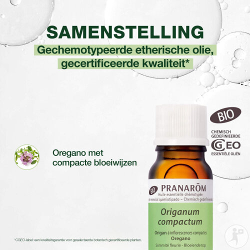 Pranarôm Oregano Mit Kompakten Blütenständen Ätherisches Öl Bio 10ml-3