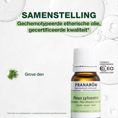 Pranarôm Waldkiefer Ätherisches Öl 10ml-3