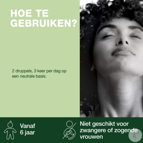 Pranarôm Zitronenverbene Ätherisches Öl 5ml-4
