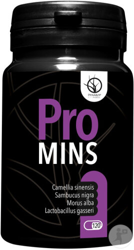 Dynarop Promins Nahrungsergänzungsmittel 120 Tabletten