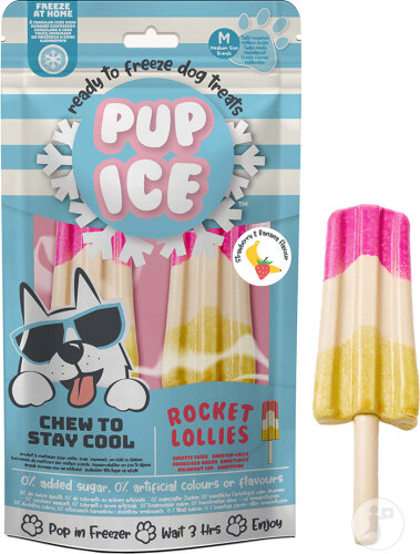 Pup Ice Rocket Lollies Erdbeere Banane 2x90g