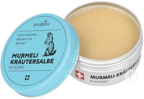 Puralpina Murmeli-Kräutersalbe Kühlend Tiegel 50ml