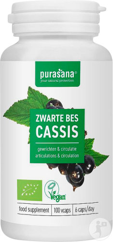 Purasana Schwarze Johannisbeere 300mg Bio 100 Kapseln