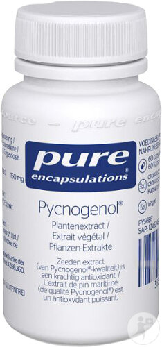 Pure Encapsulations Pycnogenol 60 Kapseln