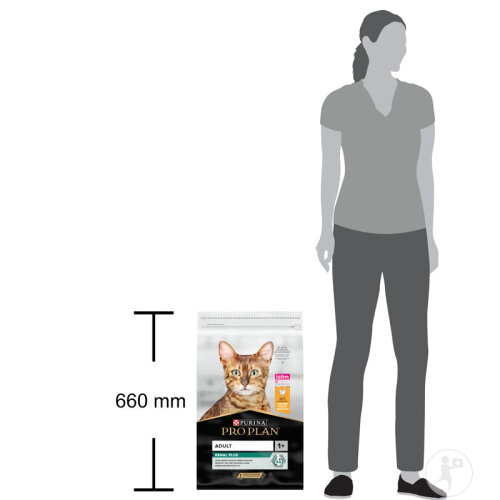 Pro Plan Renal Plus Für Gesunde Nieren Trockenfutter Für Erwachsene Katzen Huhn 10kg-4