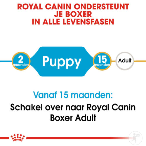 Royal Canin Breed Health Nutrition Boxer Puppy 12kg-3