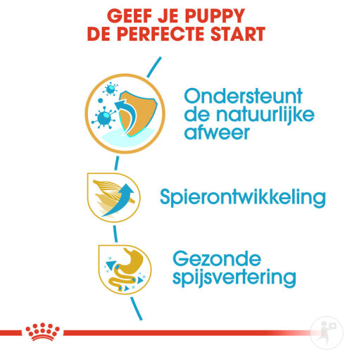 Royal Canin Breed Health Nutrition Boxer Puppy 12kg-5