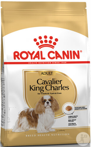 Royal Canin Breed Health Nutrition Hund Cavalier King Charles Adult Trockenfutter 1,5kg