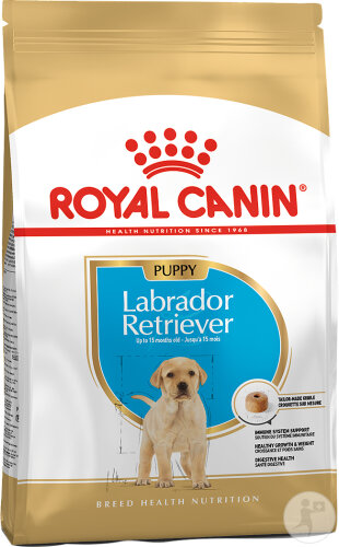 Royal Canin Breed Health Nutrition Hund Labrador Retriever Junior Trockenfutter 12kg