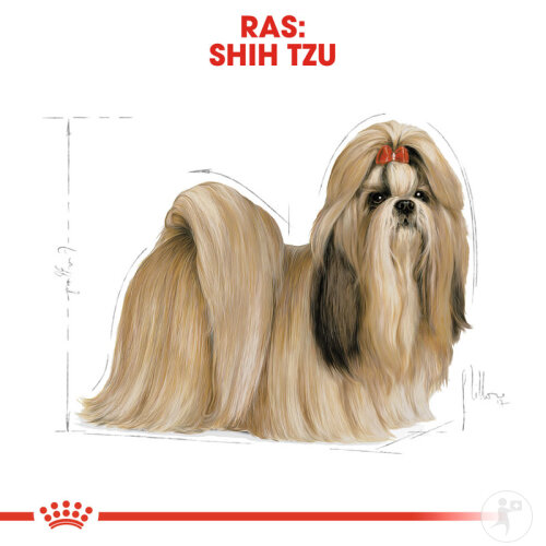 Royal Canin Breed Health Nutrition Hund Shih Tzu Adult Trockenfutter 1,5kg-3