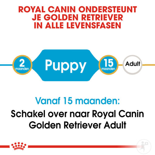 Royal Canin Breed Health Nutrition Junior Golden Retriever 12kg-3