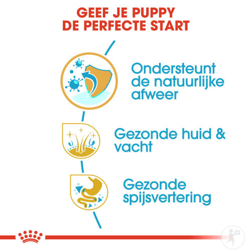 Royal Canin Breed Health Nutrition Shih Tzu Puppy 1,5kg-5