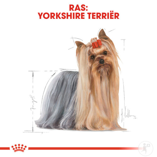 Royal Canin Breed Health Nutrition Yorkshire Terrier 12x85g-3