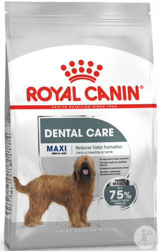 Royal Canin Canine Care Nutrition Maxi Dental Care 9kg
