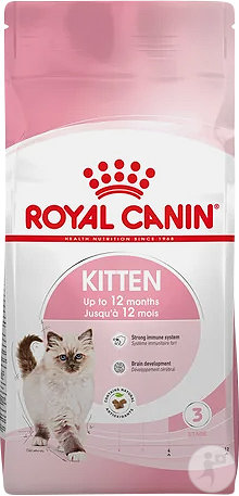 Royal Canin Kitten Alleinfuttermittel Für Kätzchen Im 2 Lebensjahr 10 kg