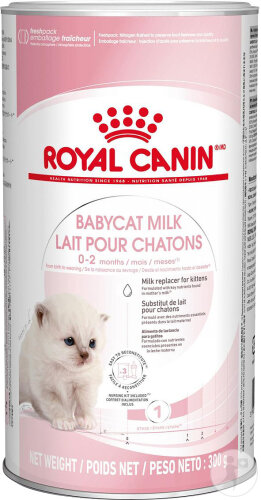 Royal Canin Feline Breed Nutrition Katze Babycat Milk Dose 300g