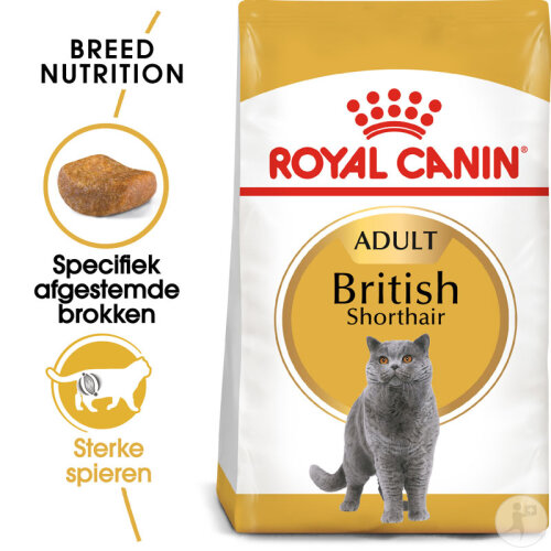 Royal Canin Feline Breed Nutrition Katze British Shorthair Adult Trockenfutter 10kg-2