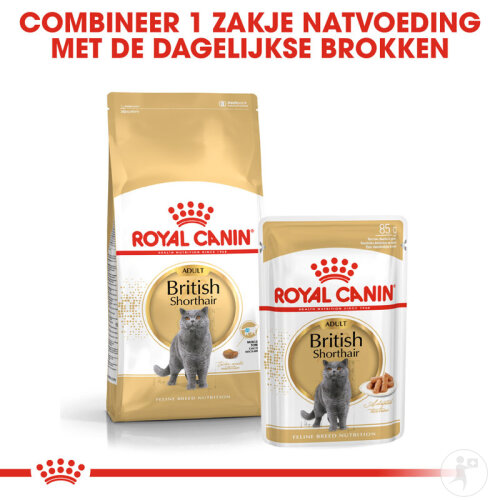 Royal Canin Feline Breed Nutrition Katze British Shorthair Adult Trockenfutter 10kg-6