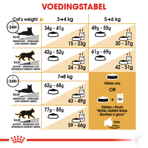 Royal Canin Feline Breed Nutrition Katze British Shorthair Adult Trockenfutter 10kg-7