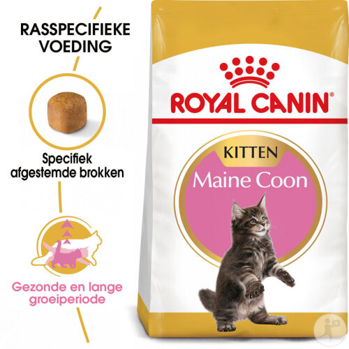 Royal Canin Feline Breed Nutrition Katze Maine Coon Kitten Trockenfutter 4kg-2