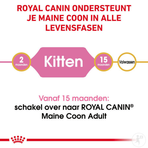 Royal Canin Feline Breed Nutrition Katze Maine Coon Kitten Trockenfutter 4kg-3