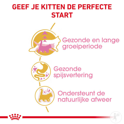 Royal Canin Feline Breed Nutrition Katze Maine Coon Kitten Trockenfutter 4kg-5