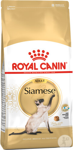 Royal Canin Feline Breed Nutrition Katze Siamese Adult Trockenfutter 4kg
