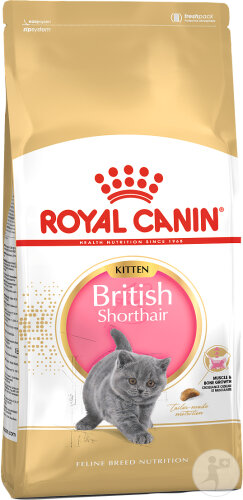 Royal Canin Feline Breed Nutrition Kitten British Shorthair 10kg