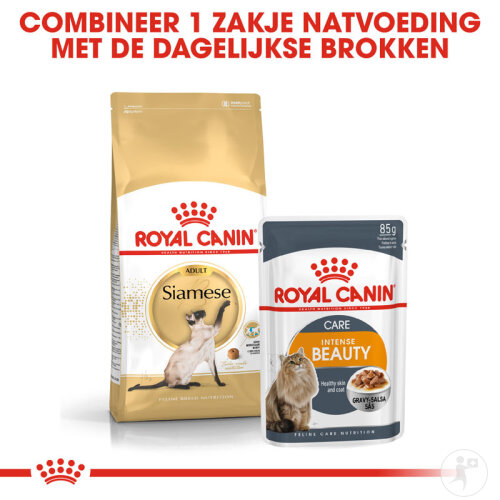 Royal Canin Feline Breed Nutrition Siamese Adult 38 Ab 12 Monate Beutel 10kg-6