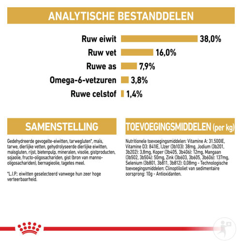 Royal Canin Feline Breed Nutrition Siamese Adult 38 Ab 12 Monate Beutel 10kg-8