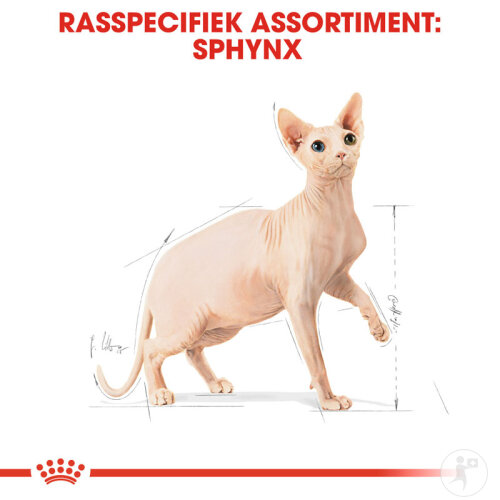 Royal Canin Feline Breed Nutrition Sphynx 2kg-3