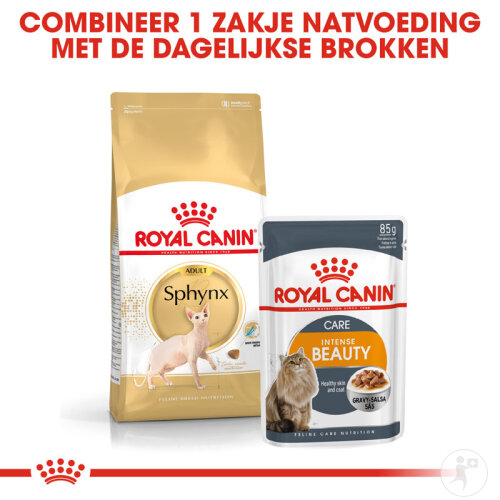 Royal Canin Feline Breed Nutrition Sphynx 2kg-6