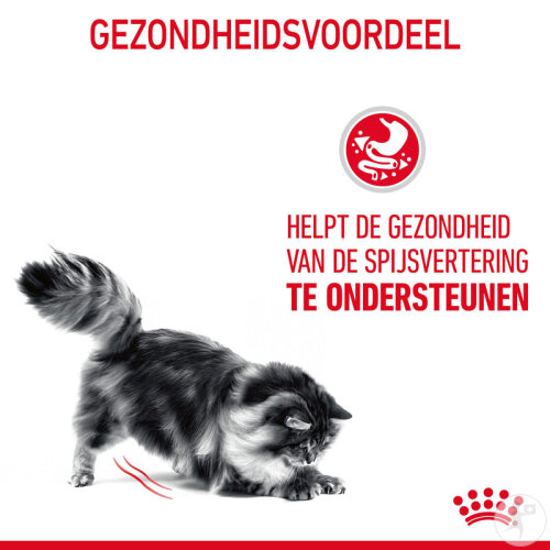 Royal Canin Feline Care Nutrition Digestive Care 4kg-7
